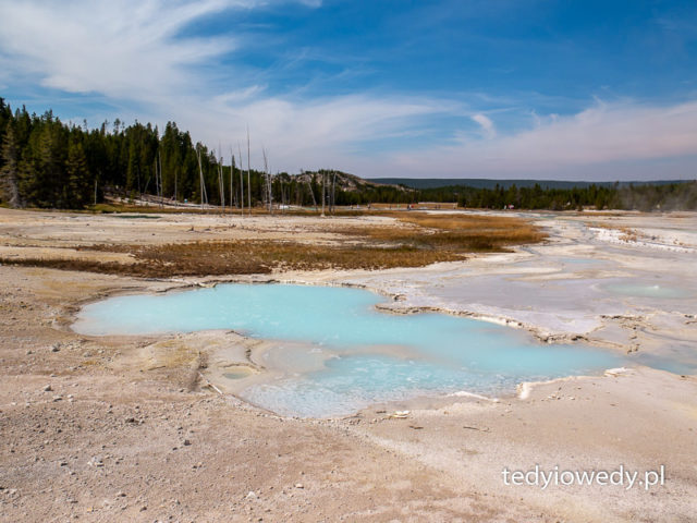 yellowstone